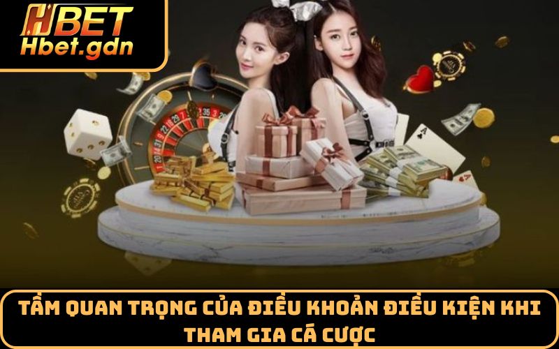 Tầm quan trọng của điều khoản điều kiện khi tham gia cá cược